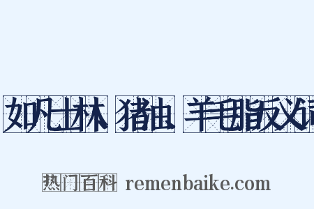如凡士林、猪油、羊毛脂反义词是什么意思的图片
